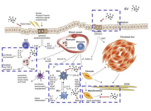 이미지: clip_image015
