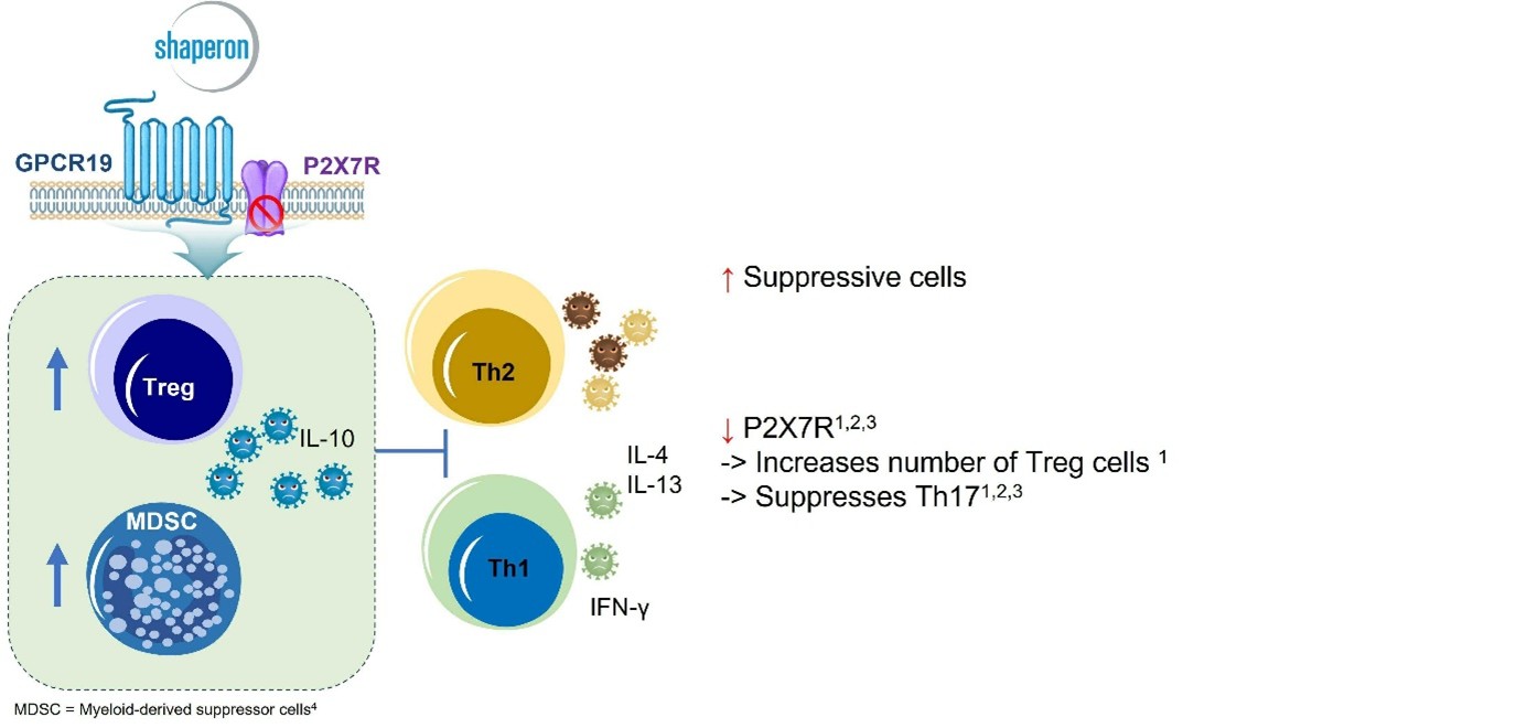 이미지: 경쟁사 대비 샤페론 gpcr19 agonist 기전의 우수성2