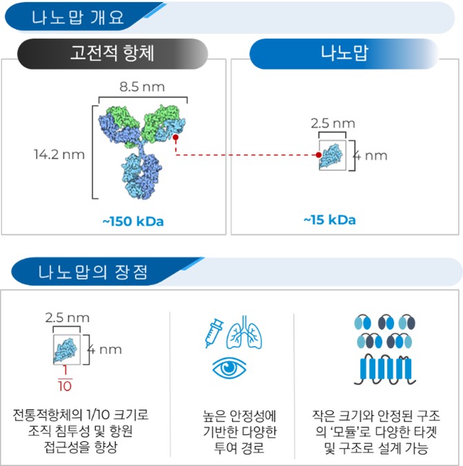 이미지: 나노맙 개요 및 장점