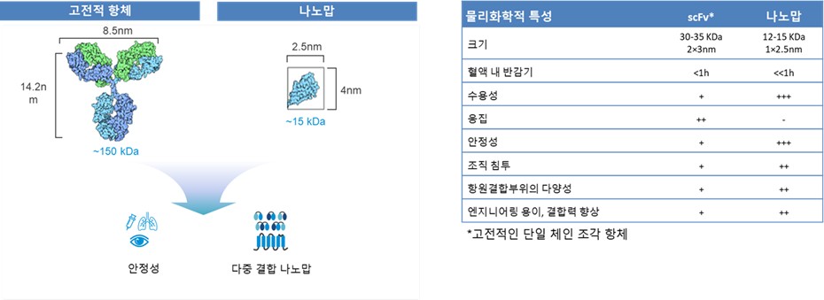 이미지: 나노맙의 우수하고 안정적인 물리화학적 특성