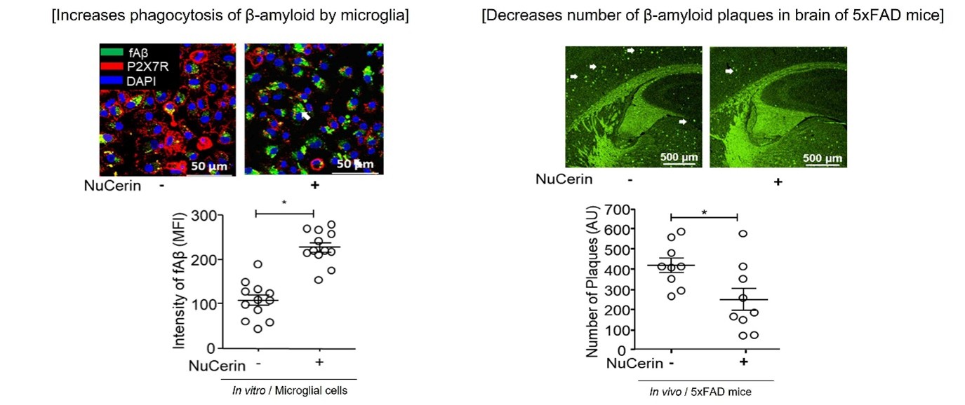이미지: nucerin의 동물 및 in vitro 데이터