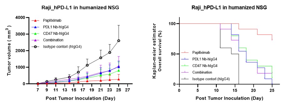 이미지: Papiliximab 전임상 결과
