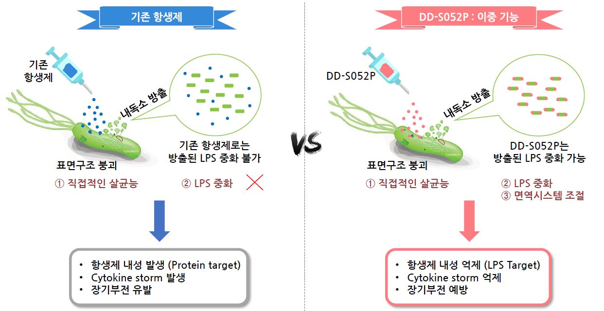 이미지: DD-S052P와 기존 항생제 비교