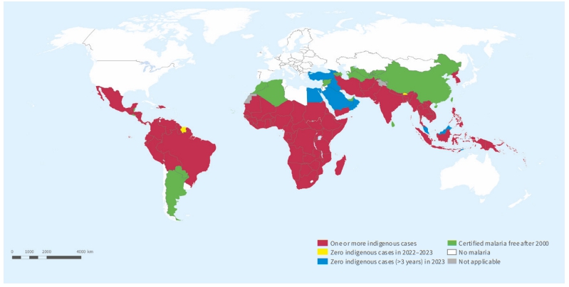 이미지: 2023년 세계 말라리아 발생 국가 현황