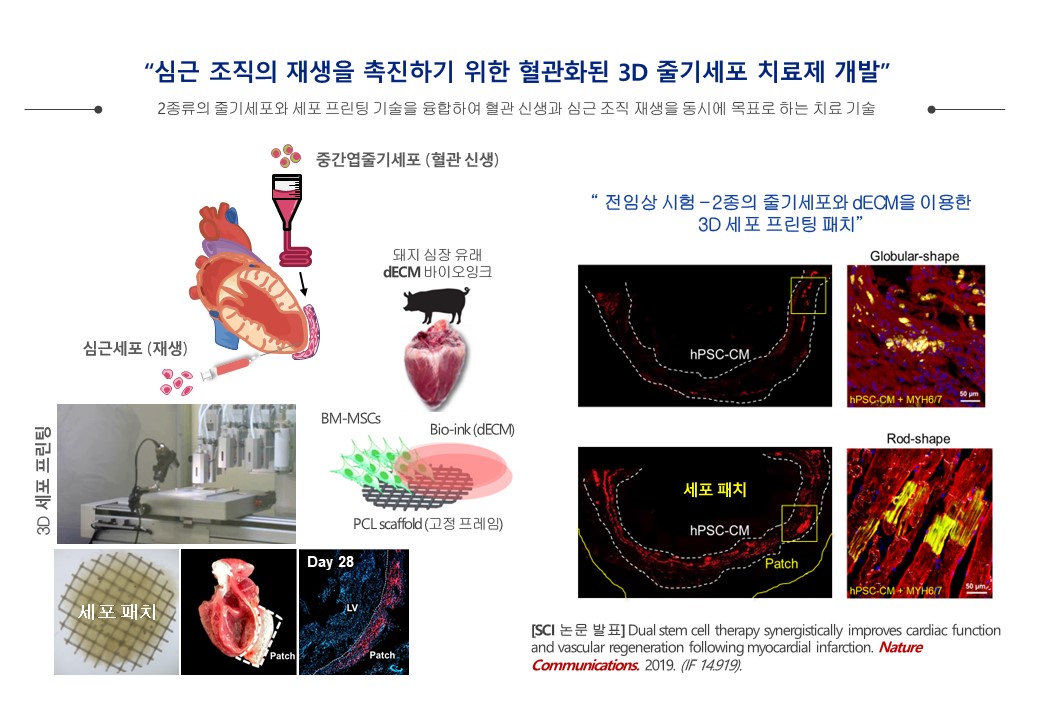 이미지: 세포치료제