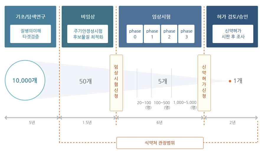 이미지: 일반적인 신약개발 r&d 과정