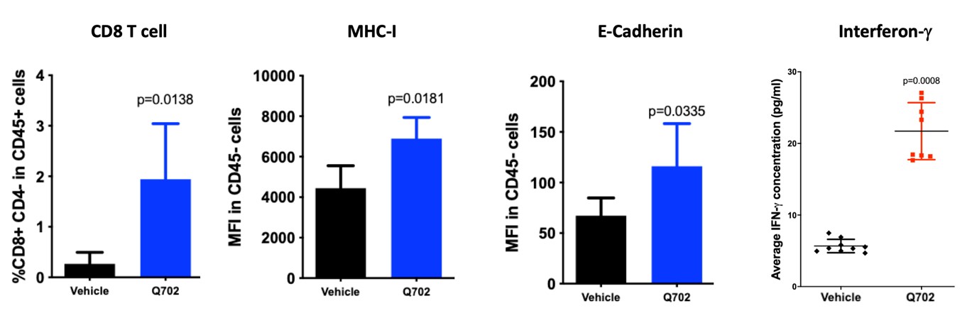 이미지: [아드릭세티닙(Q702) 투약 후 항암 면역 활성 바이오마커 변화]