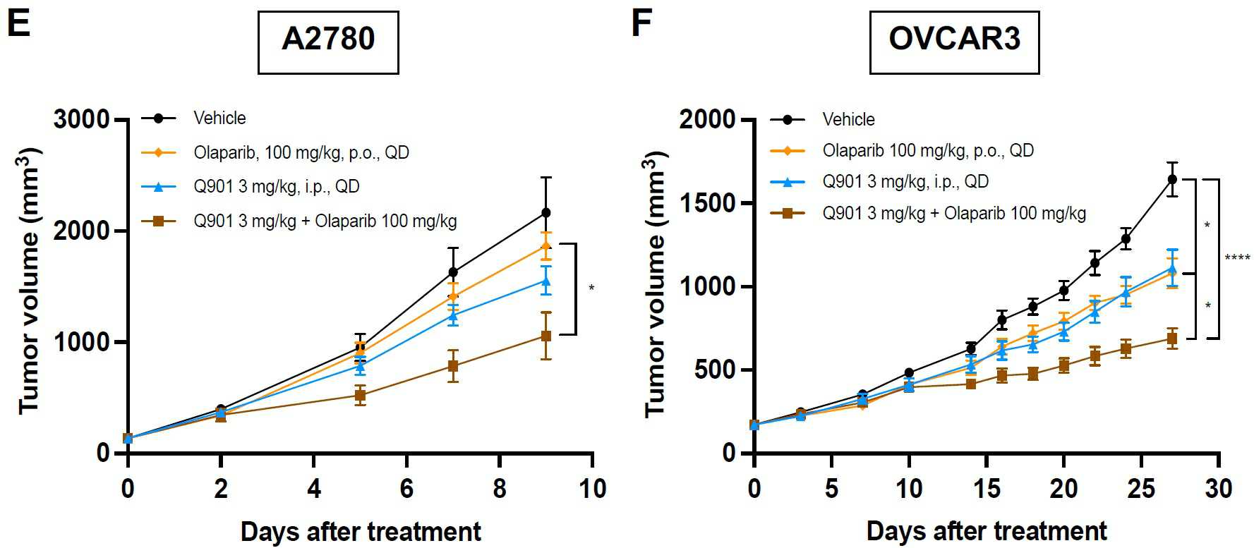 이미지: [난소암 모델(A2780, OVCAR3)에서 모카시클립(Q901)과 PARP 저해제 병용 투여 효과]