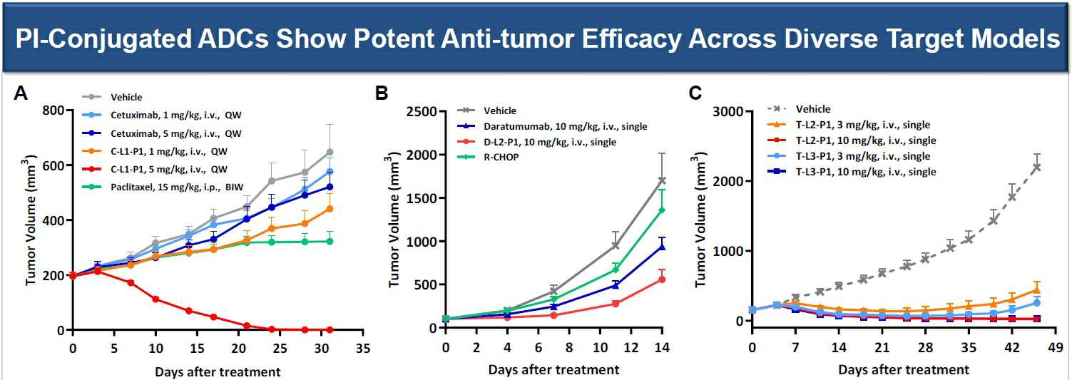 이미지: [다양한 고형암 및 혈액암 동물 모델에서 PI-ADC 효과]