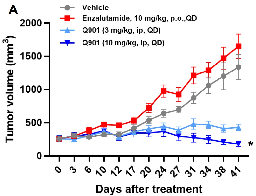 이미지: [엔잘루타마이드 내성 동물모델에서 모카시클립의 효과]