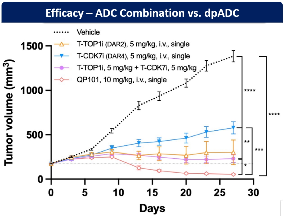 이미지: [엔허투(T-DXd) 내성암 모델에서 단일페이로드 ADC 병용요법 대비 이중페이로드 ADC 효과]