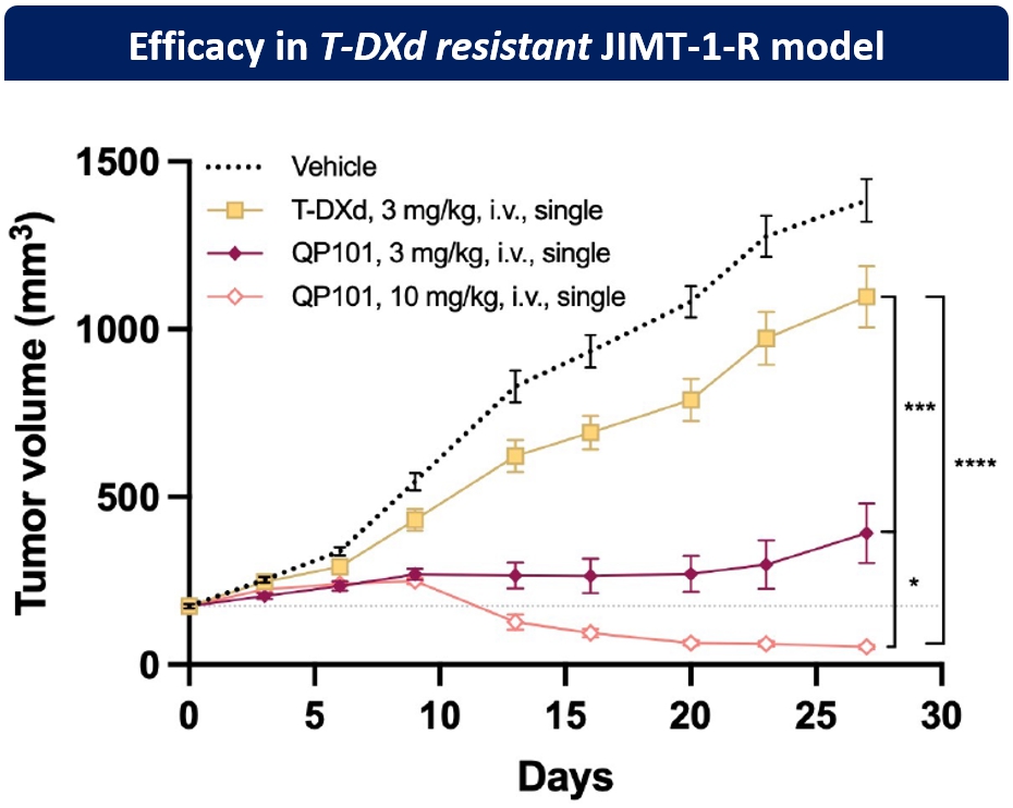 이미지: [엔허투(T-DXd) 내성암 모델에서 엔허투와 QP101의 효과]