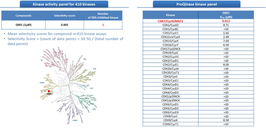 이미지: [모카시클립(Q901)의 높은 선택성]