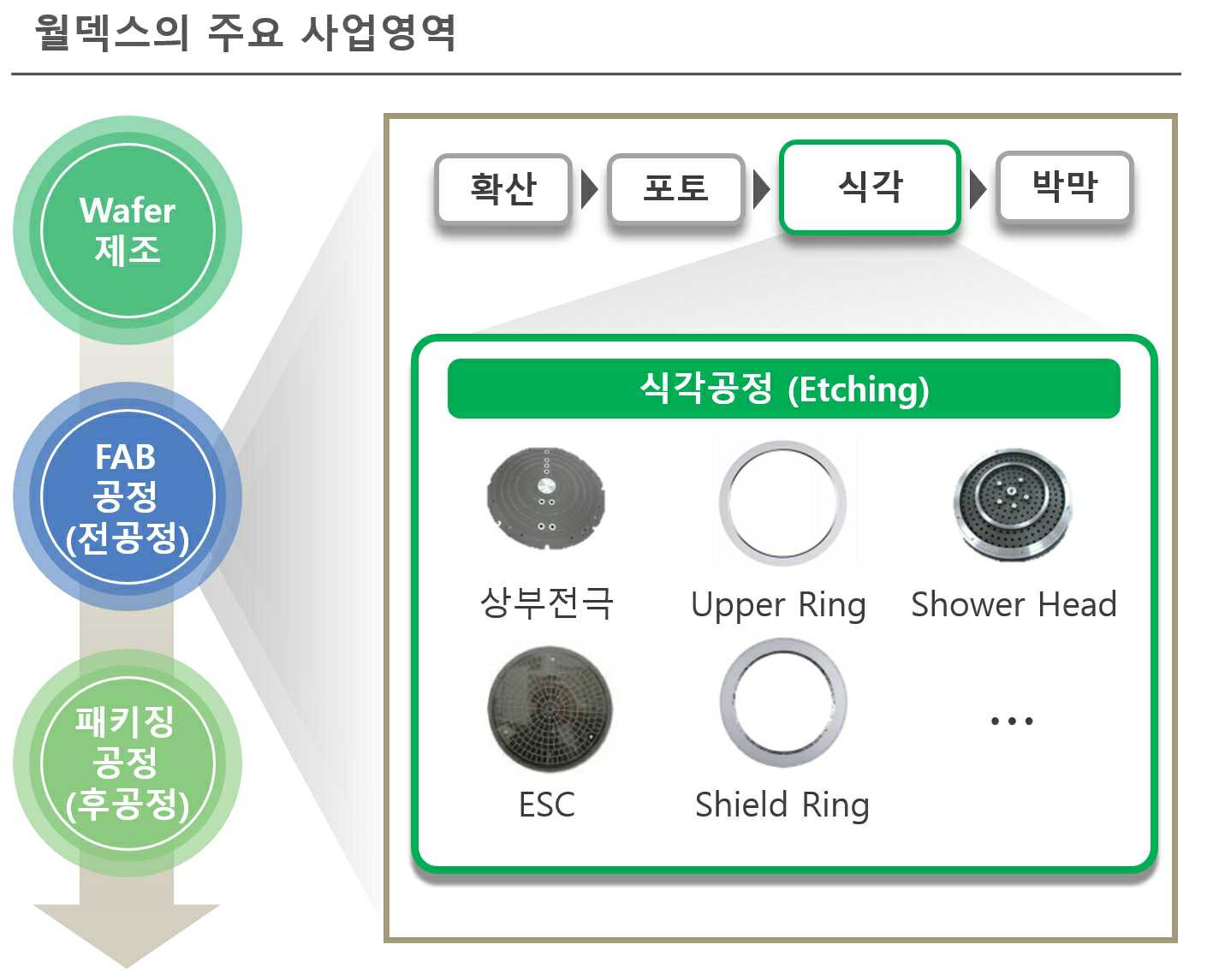 이미지: 월덱스의 주요 사업 영역