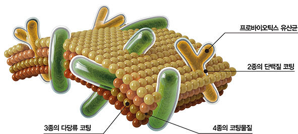 이미지: 듀얼코팅 모식도