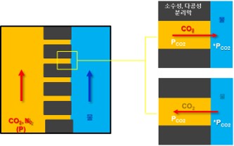 이미지: 그림3. 멤브레인 컨텍터