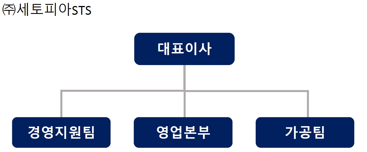이미지: 조직도_sts