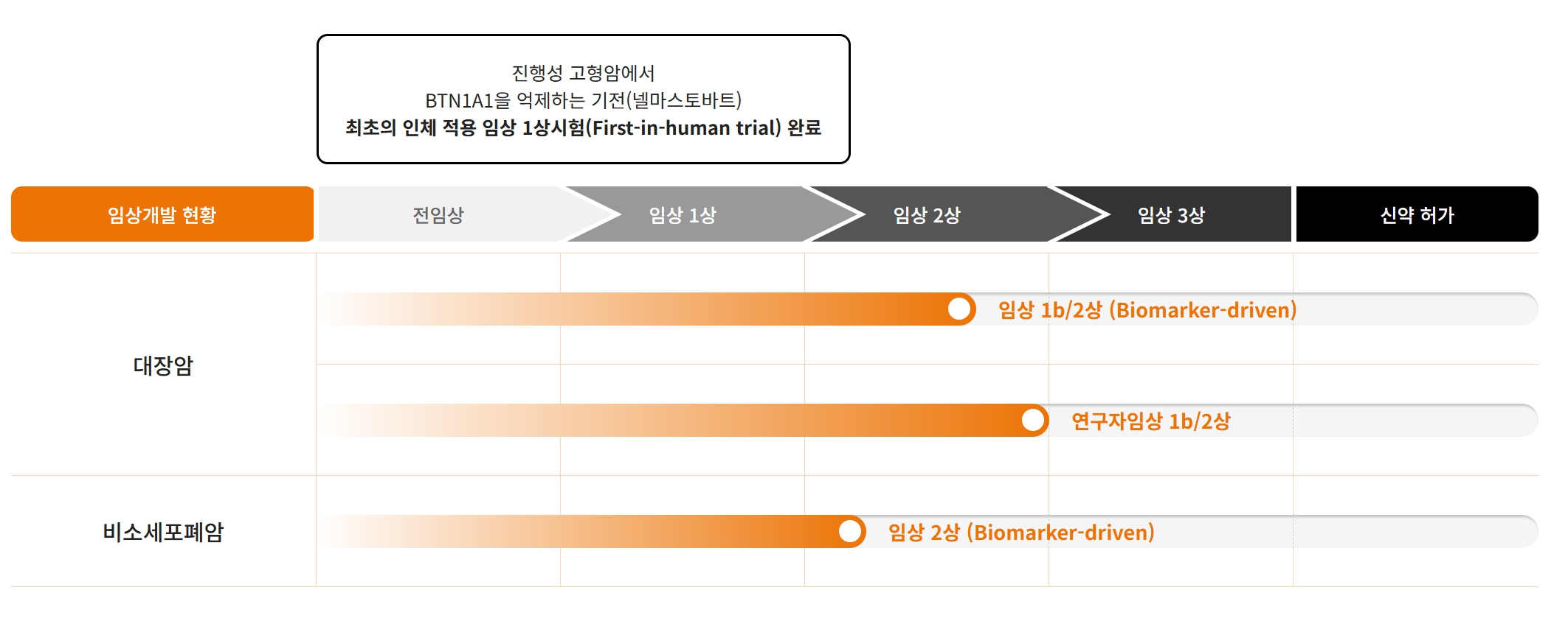 에스티큐브] 분기보고서(일반법인)