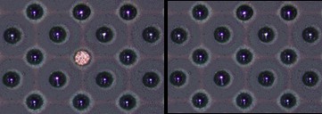 이미지: [그림] 대면적 FC-BGA 솔더볼 누락 불량의 리페어 전후