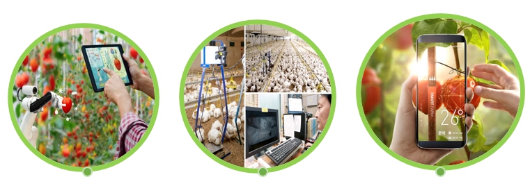 이미지: [AI 스마트팜 솔루션]