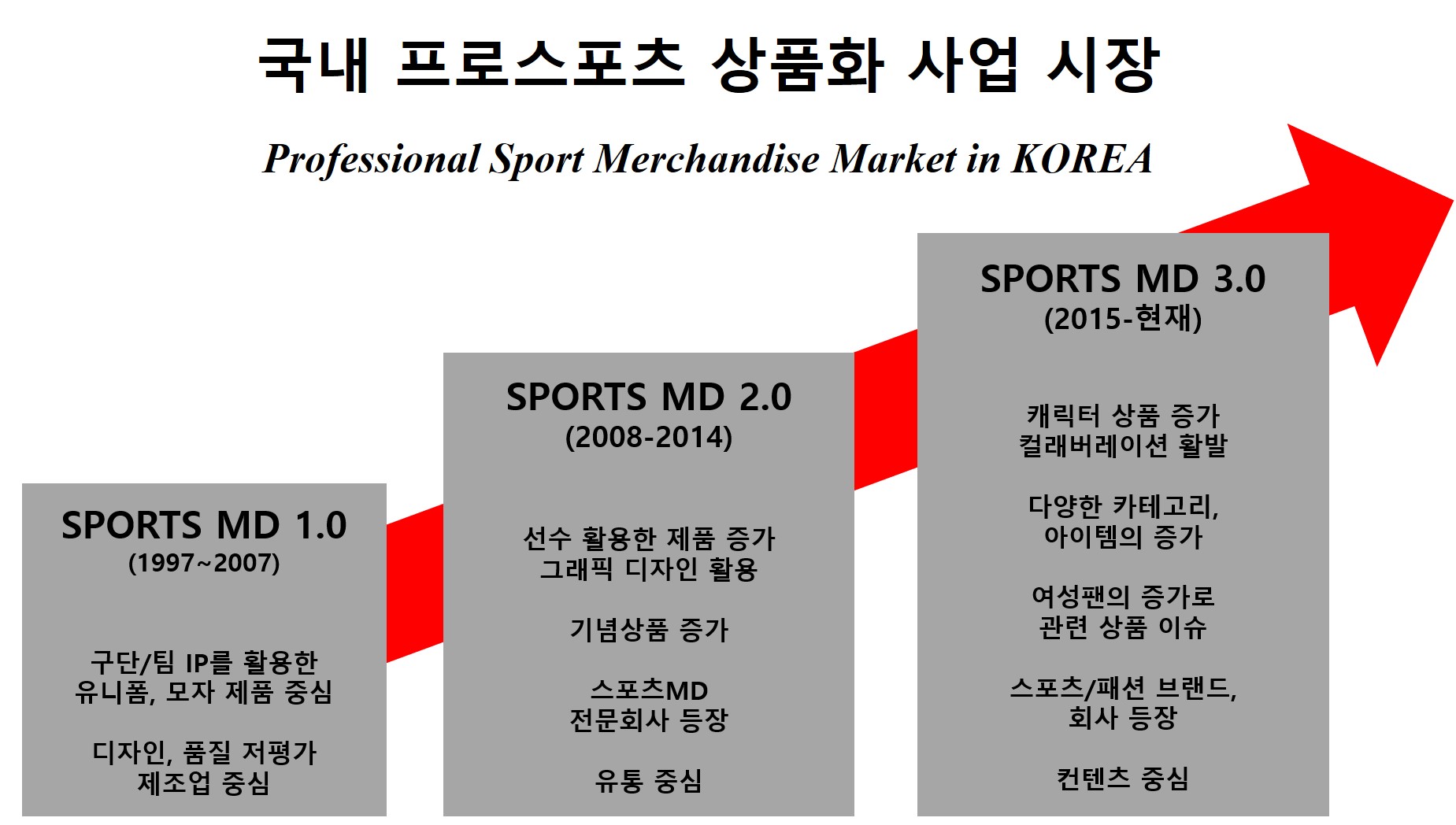 이미지: 국내 스포츠 상품화 시장