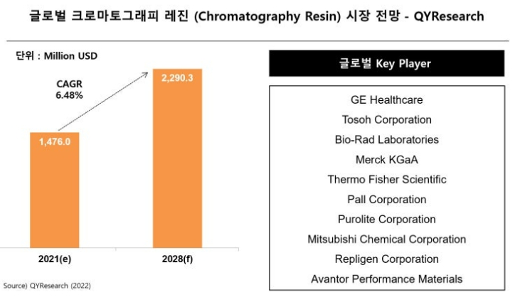 이미지: 글로벌 크로마토그래피 레진 시장 전망