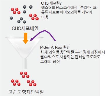 이미지: 타겟 공정_레진