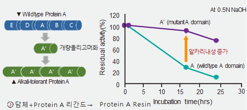 이미지: 핵심기술력_레진