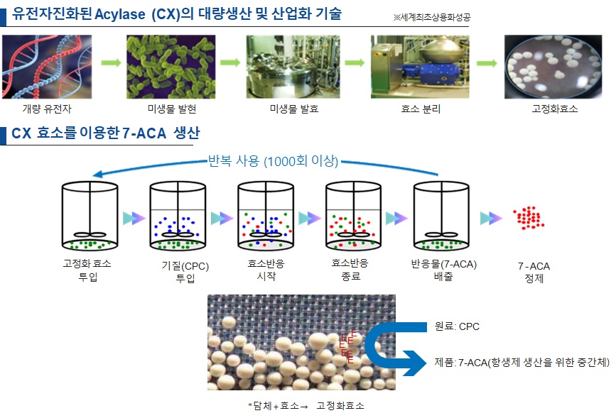 이미지: cx 효소 기술 개요