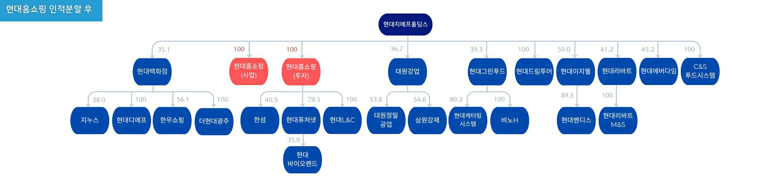 이미지: (주)현대홈쇼핑 인적분할 직후 현대백화점그룹 지배구조도