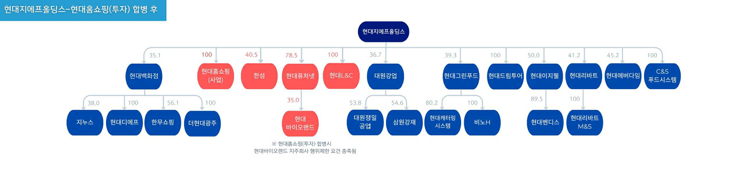 이미지: 합병 직후 현대백화점그룹 지배구조도