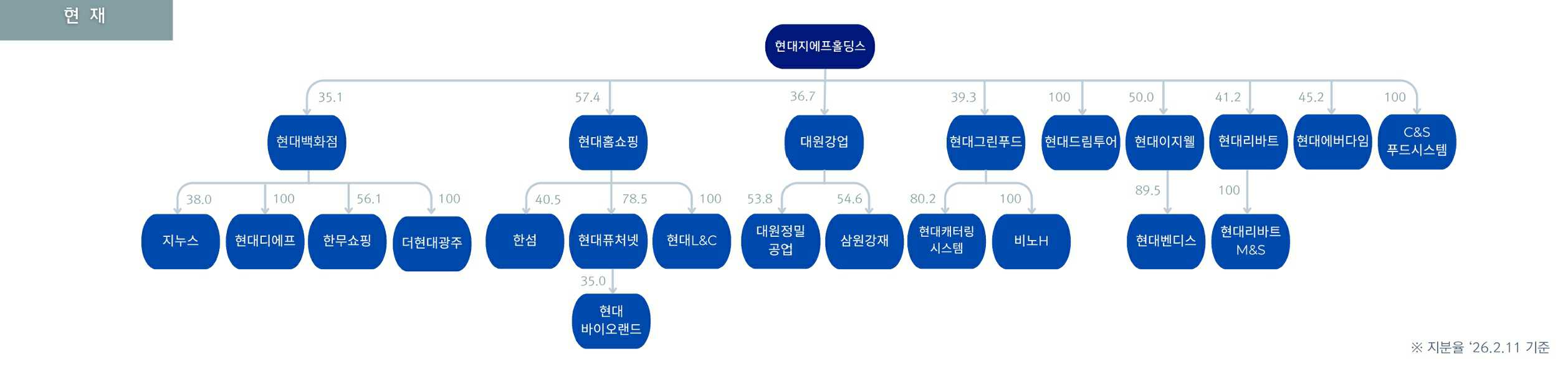 이미지: 현대백화점그룹 지배구조도