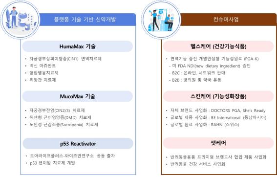 이미지: 주요 사업영역