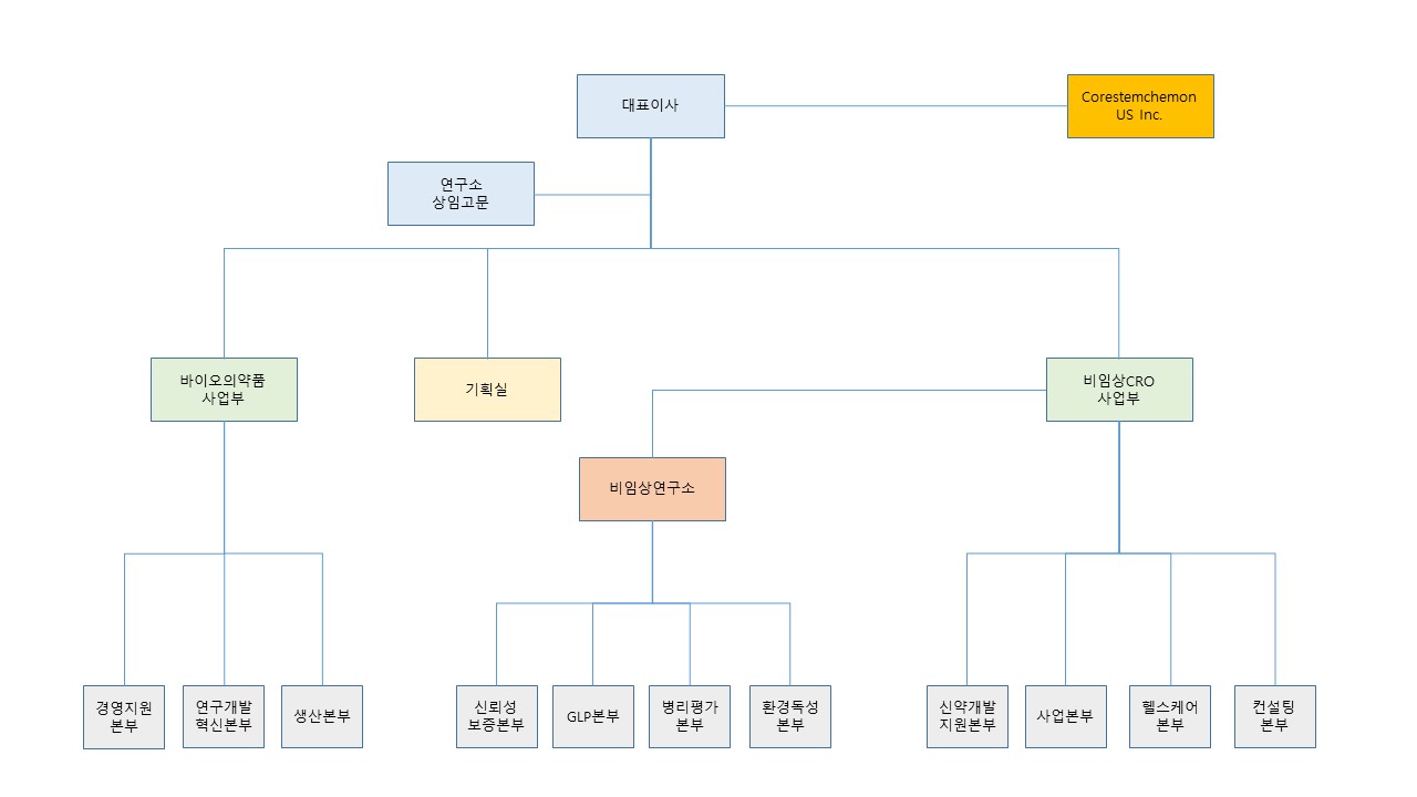 이미지: 코아스템켐온 조직도