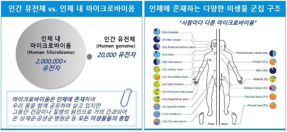 이미지: 출처 : 미국국립보건원(NIH) ‘Human Microbiome Project(HMP)