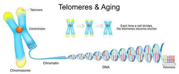 이미지: clip_image003