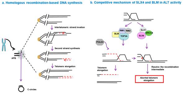 이미지: clip_image005