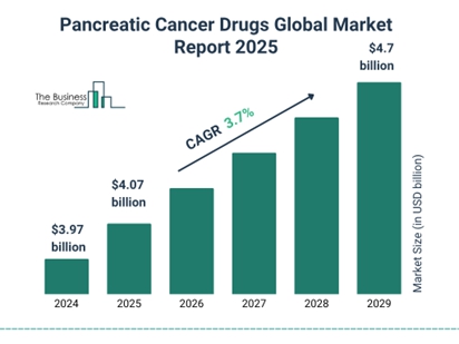 이미지: 기타참고사항_세계 췌장암 치료시장 규모 및 전망(Pancreatic Cancer Drugs Global Market Report 2025)