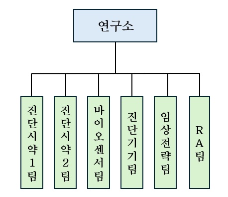 이미지: 연구소 조직도_251231