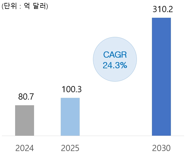 이미지: [국내 클라우드시장]