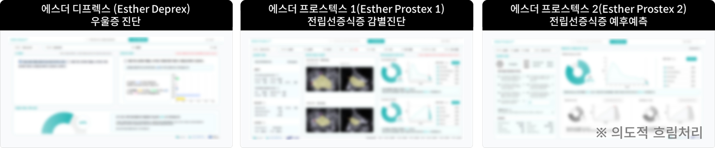 이미지: 나디아 에스더