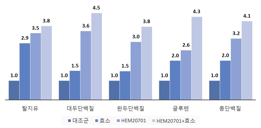 이미지: [PMAS를 이용한 HEM20701의 단백질 분해량 배수]