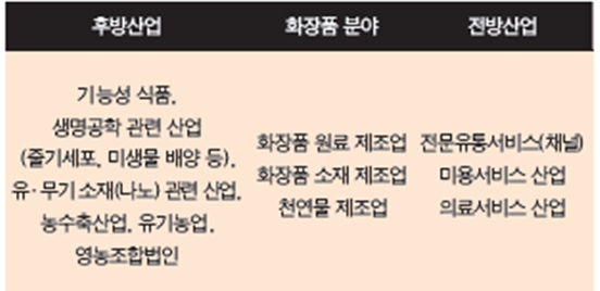 이미지: 화장품 산업 구분