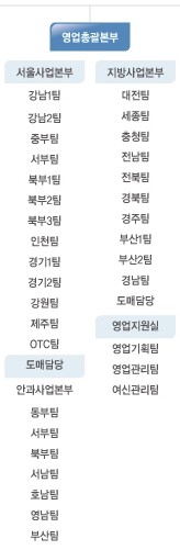 이미지: 영업조직도