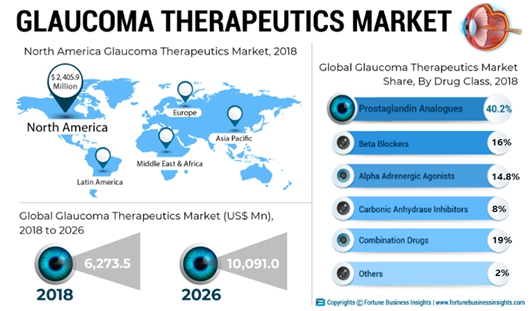 이미지: (출처: Future Business Insight, Market Research Report, Sep 2020)