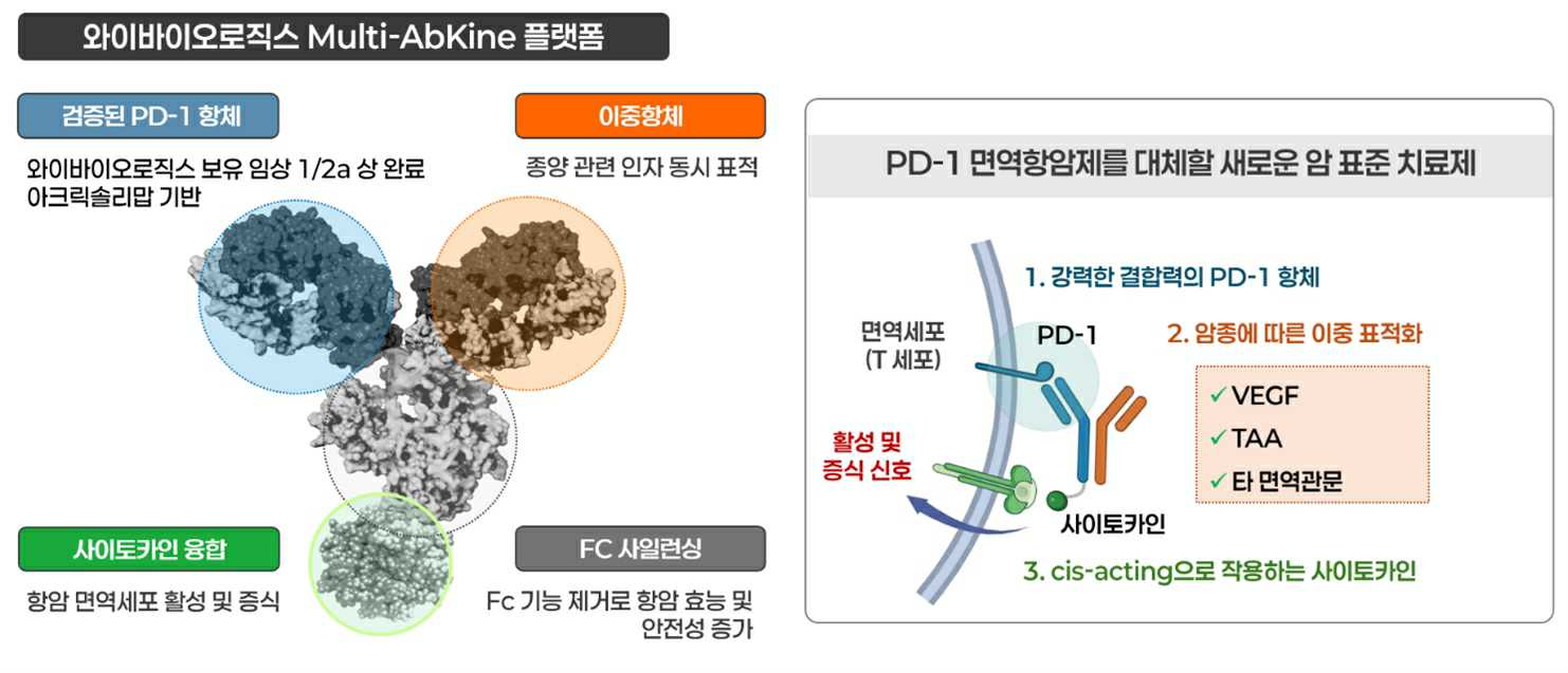 이미지: 와이바이오로직스 이중항체-사이토카인 융합체인 멀티앱카인(Multi-AbKine) 플랫폼