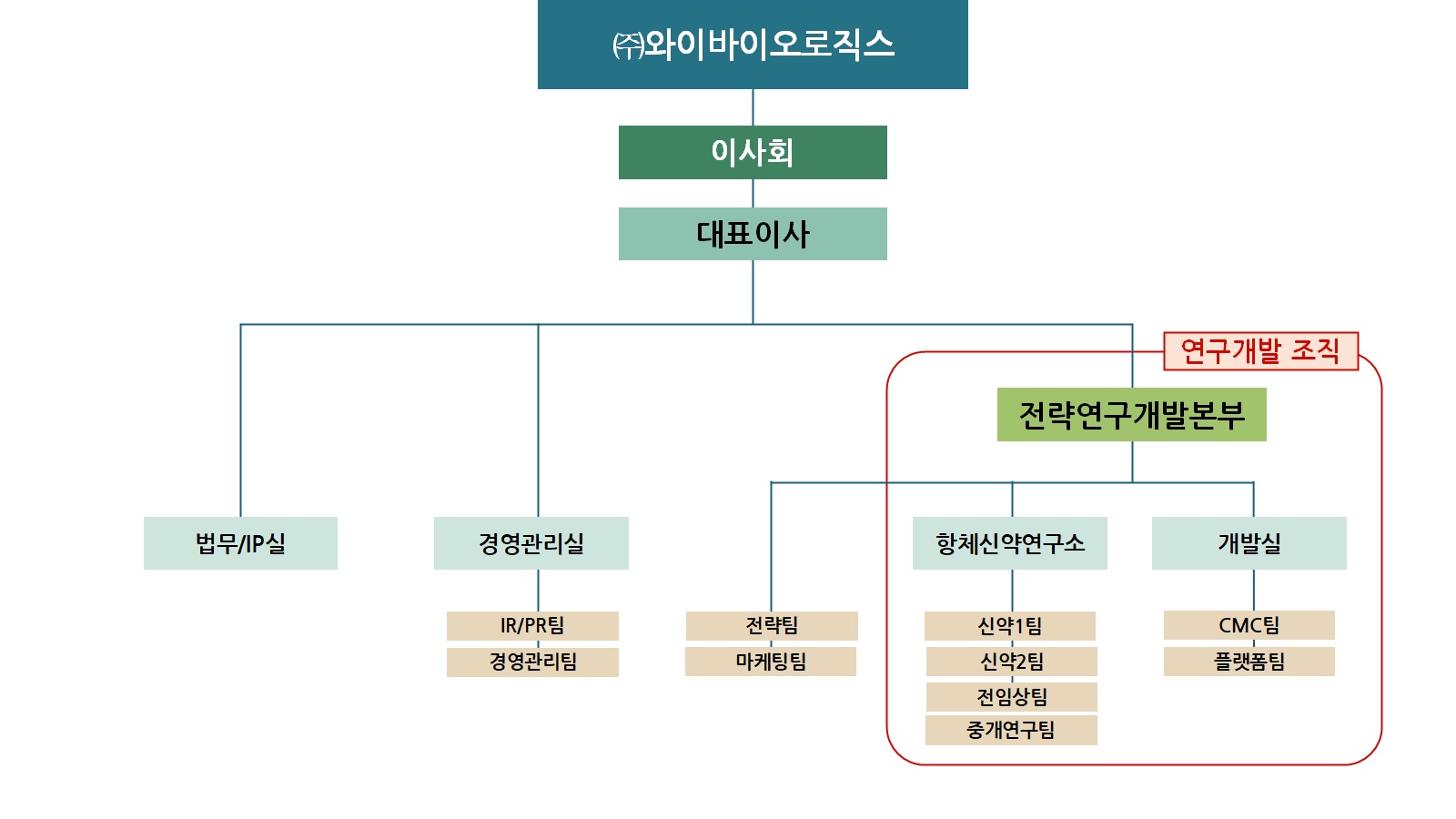 이미지: 와이바이오로직스 조직도
