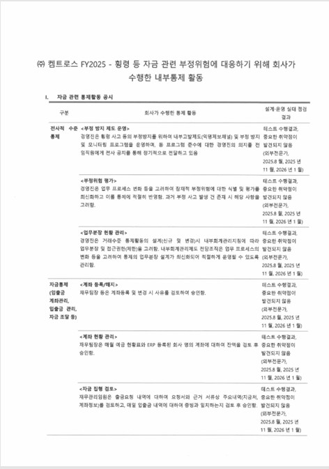 이미지: 붙임_자금부정통제활동