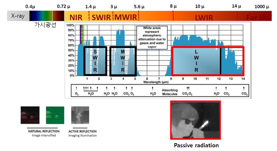 이미지: 사업화영역