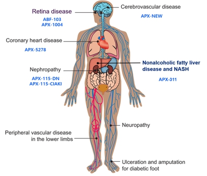 이미지: [활성화산소(ros)조절에 의한 당뇨합병증 치료제 개발]